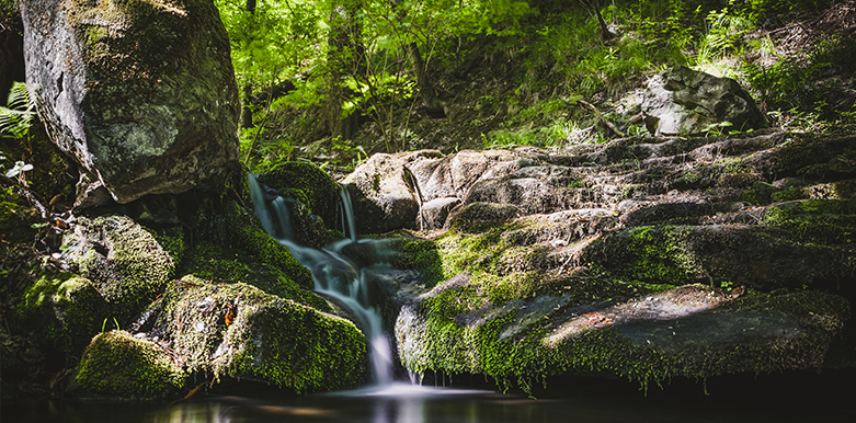 Qualité ressource en eau Vosges
