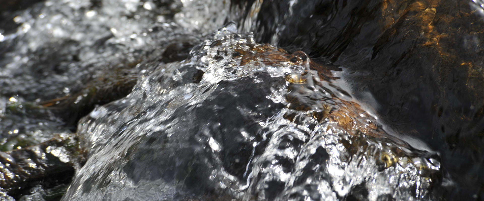 Nestle Waters s’engage pour préserver la ressource en eau à Vittel
