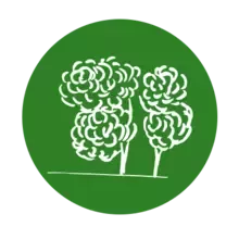 Préserver la biodiversité - icône arbre