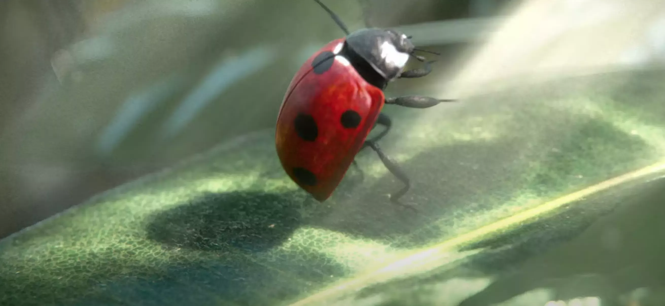 VITTEL® dévoile une nouvelle campagne pour ses boissons fruitées VITTEL® Up et VITTEL® Fruits Infusés Bio
