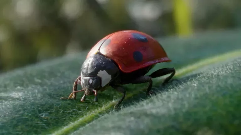 Vittel® lie le développement de son activité à la création de valeur partagée et durable pour tous