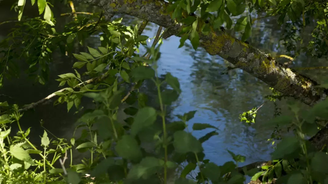 Nestlé Waters poursuit ses engagements pour une gestion responsable de la ressource en eau à Vittel (relai)